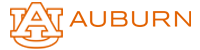 Office Of Accessibility Logo